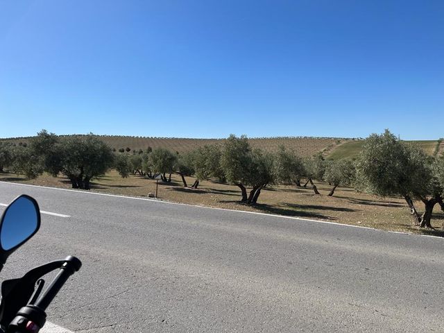 Finca rustica Las Gabias