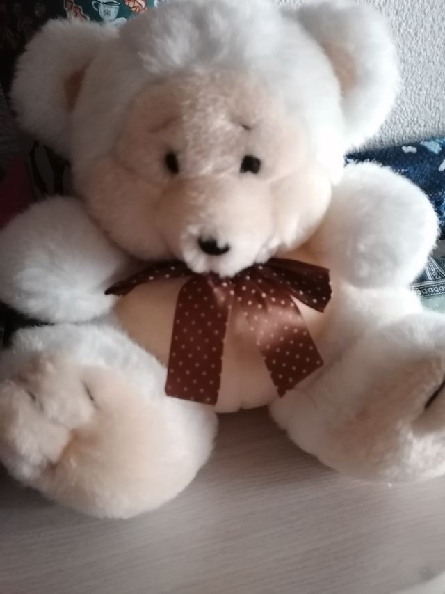 Osito de peluche