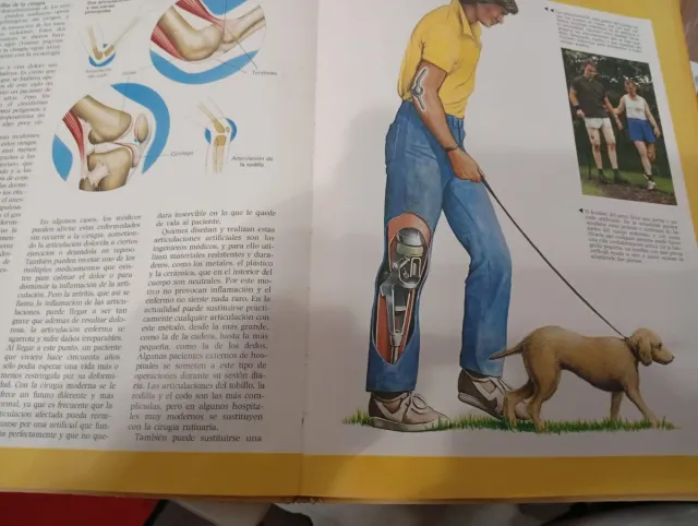 taza inglesa vintage