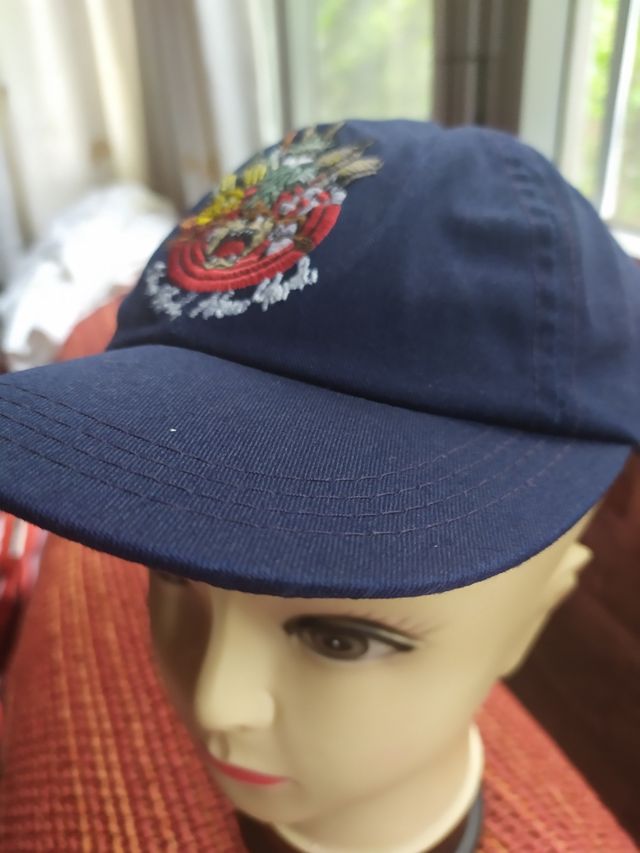 gorra con el demonio de Tasmania