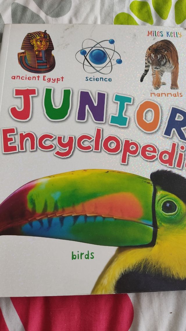 Junior enciclopedia inglés