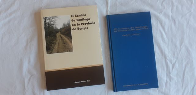 EL CAMINO DE SANTIAGO...