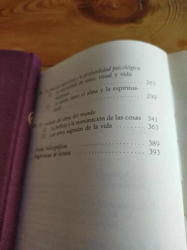 el cuidado del alma Thomas Moore