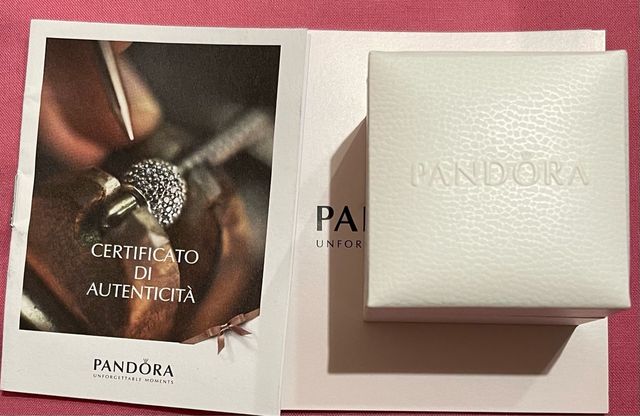 Pandora charms 