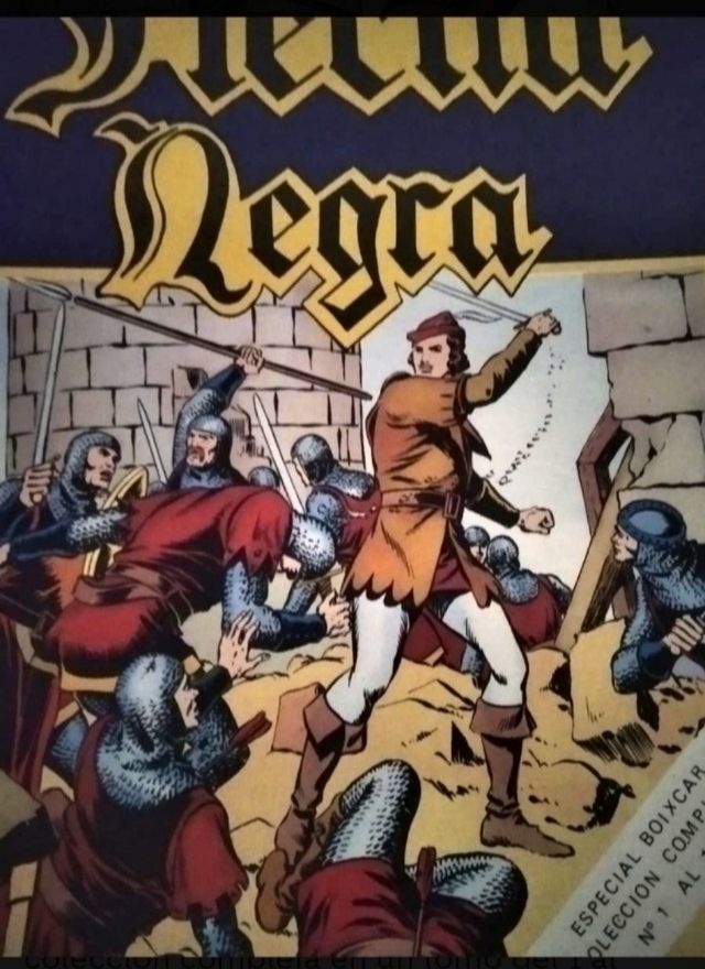 Flecha negra.ESPECIAL BOIXCAR