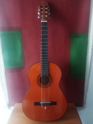 DO0226 Admira JUANITA ECF Guitarra Electroacustica en San Pedro Cholula,  Puebla por $10927 | Segundamano.mx