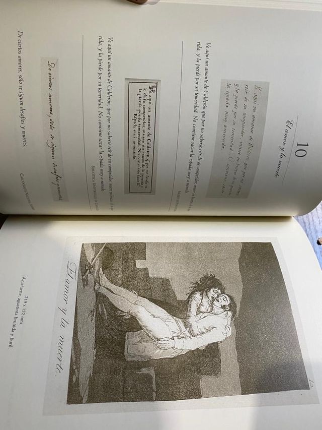 Mirar y Leer los caprichos De Goya