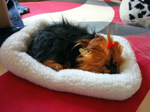 Mascota realista Perfecto Perzzz Yorkie