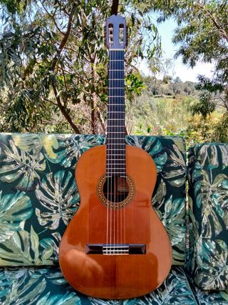GUITARRA FLAMENCA PEDRO MALDONADO de segunda mano por 700 EUR en Mijas en  WALLAPOP