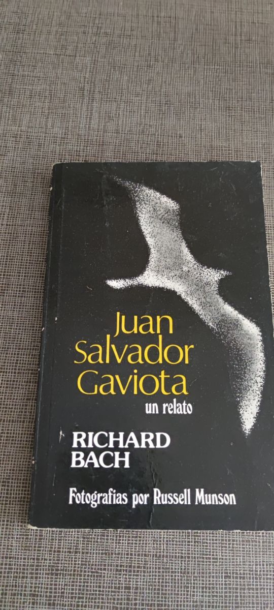 Juan Salvador Gaviota
