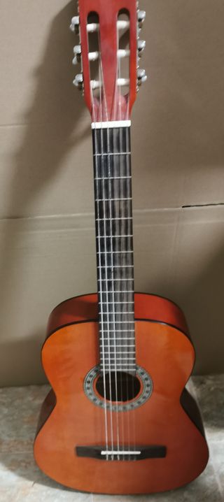 Guitarra Clásica José Torres JT-450 con Funda