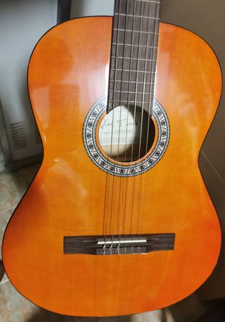 Guitarra Jose Torres JT-450 con funda de segunda mano por 40 EUR en  Valencia en WALLAPOP