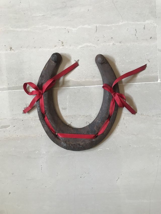 Ferro di cavallo fortunato