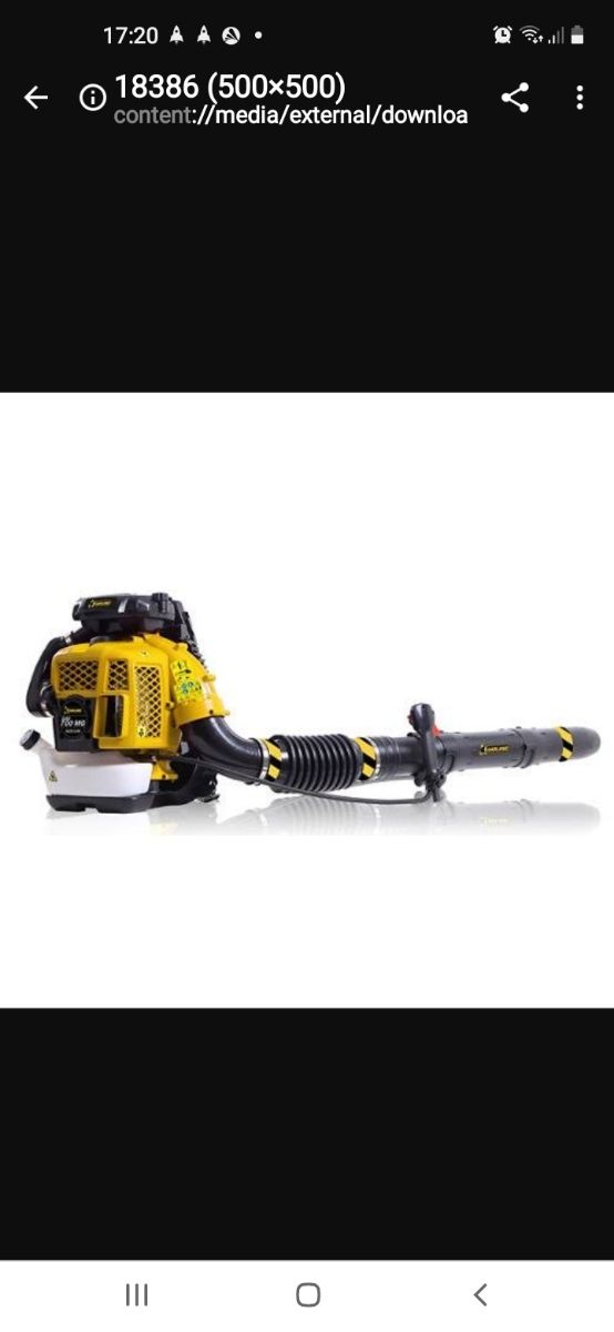 Alquiler Soplador De Gasolina Por dias