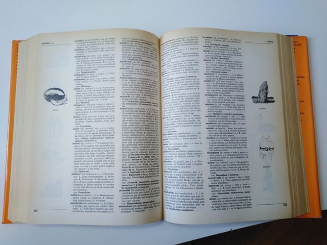 Diccionario Xerais da Lingua.