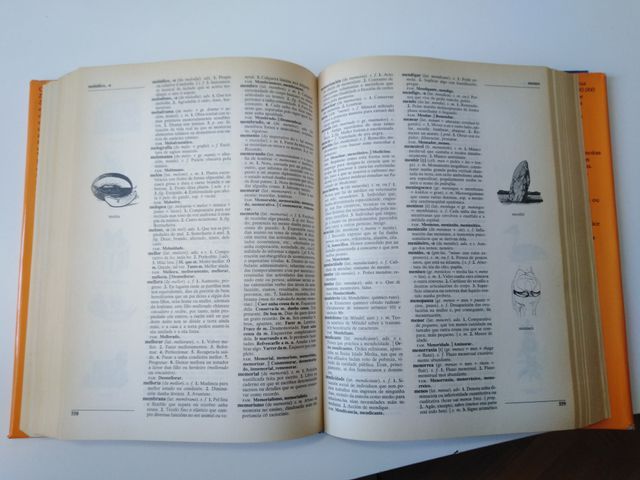 Diccionario Xerais da Lingua.