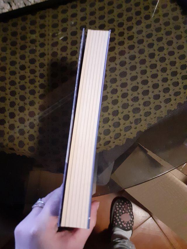 El designio del ángel