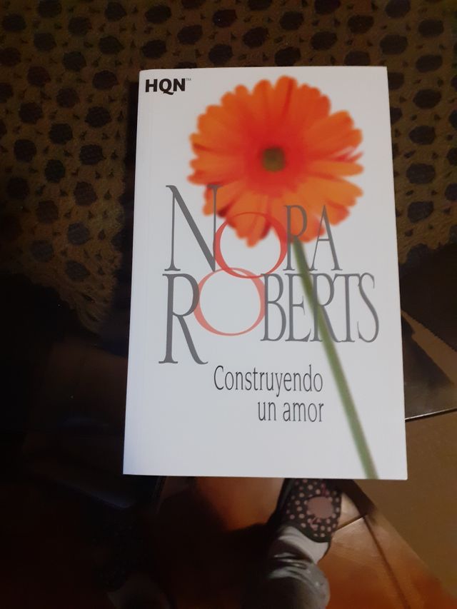 Construyendo un amor