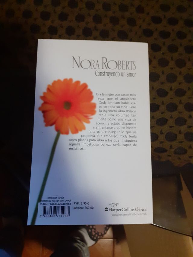 Construyendo un amor