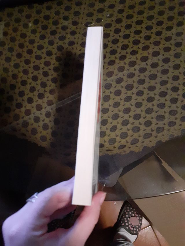 Construyendo un amor