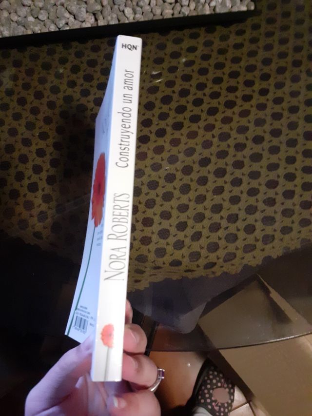 Construyendo un amor