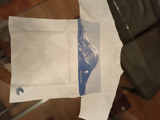 camisetas quicksilver/ralph lauren, levis...