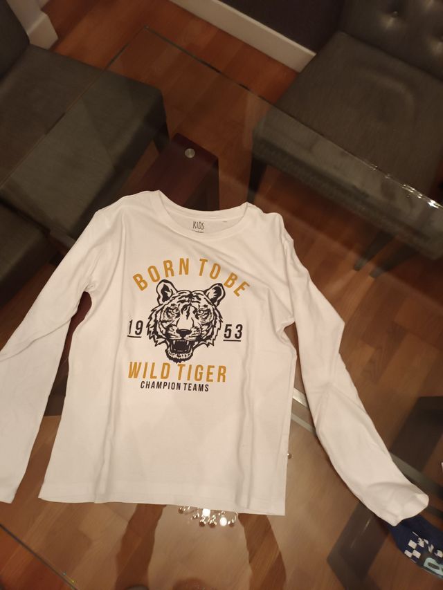 camisetas quicksilver/ralph lauren, levis...