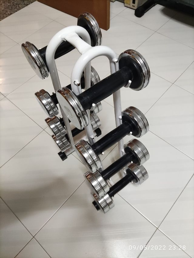 Mancuernas salter cromadas y soporte