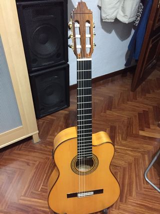 Valeriano Bernal amplificada \