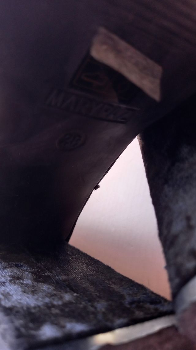 Botas de tacón y plataforma en terciopelo T.38