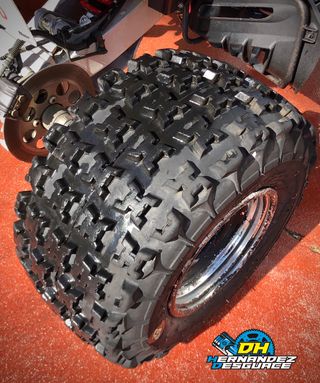 DESPIECE RAPTOR 660