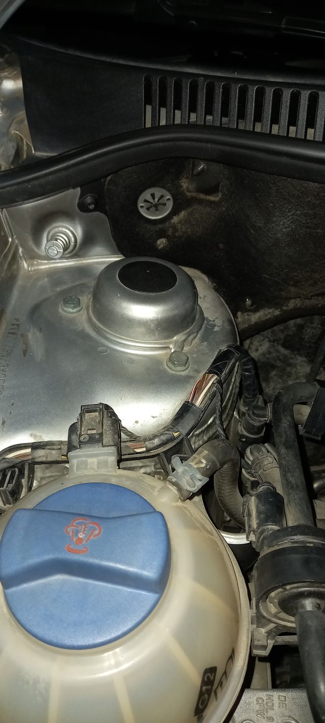 Tapa del Amortiguador delantero del coche