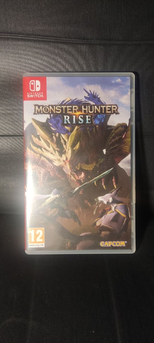 Imagen de Monster Hunter Rise