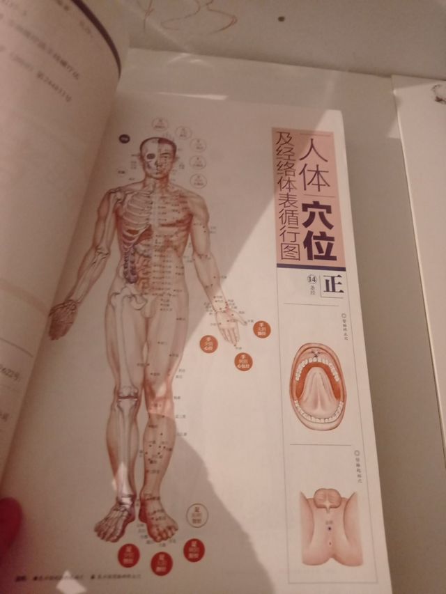 Libro Chino 379 páginas. Masaje.