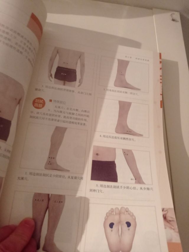 Libro Chino 379 páginas. Masaje.