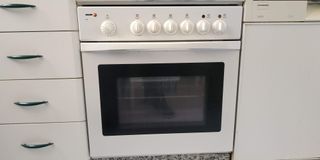 Cocina de gas con 5 fuegos y horno eléctrico a convección