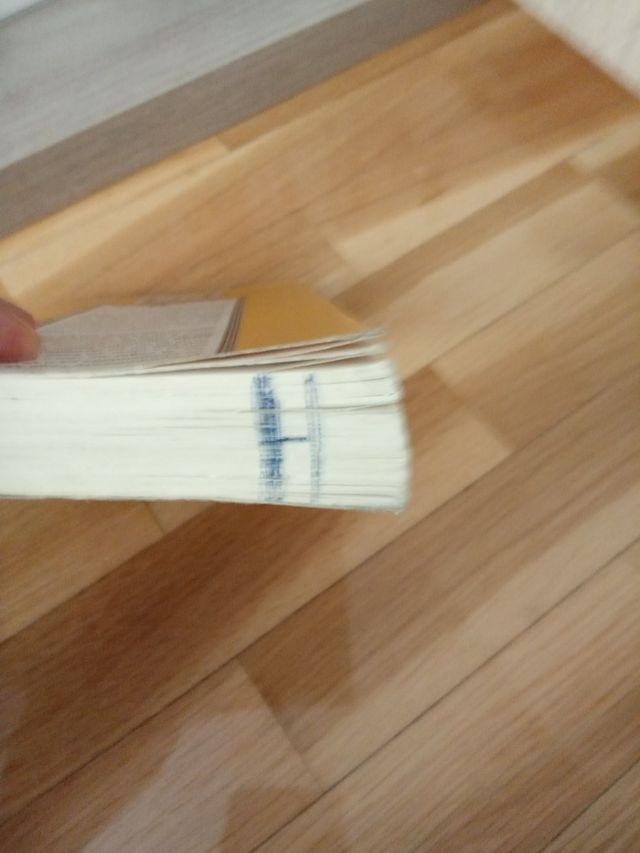 Libro de lectura Hoyos