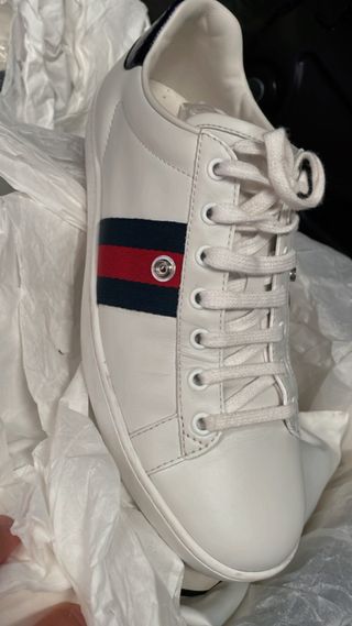 Tenis gucci de segunda mano por 250 EUR en Nueva Andalucia en WALLAPOP