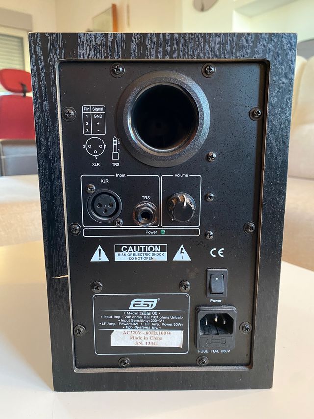 Pareja monitores activos ESI nEar 05