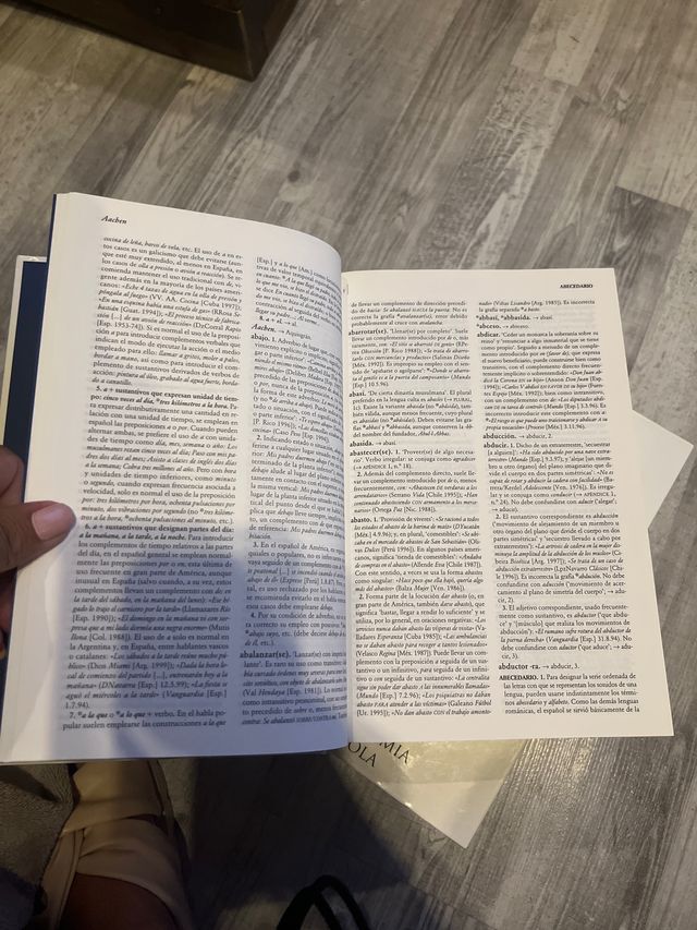 Diccionario panhispánico de dudas