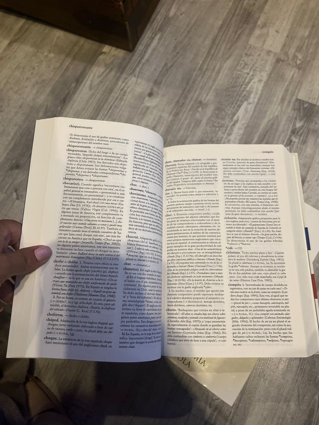 Diccionario panhispánico de dudas