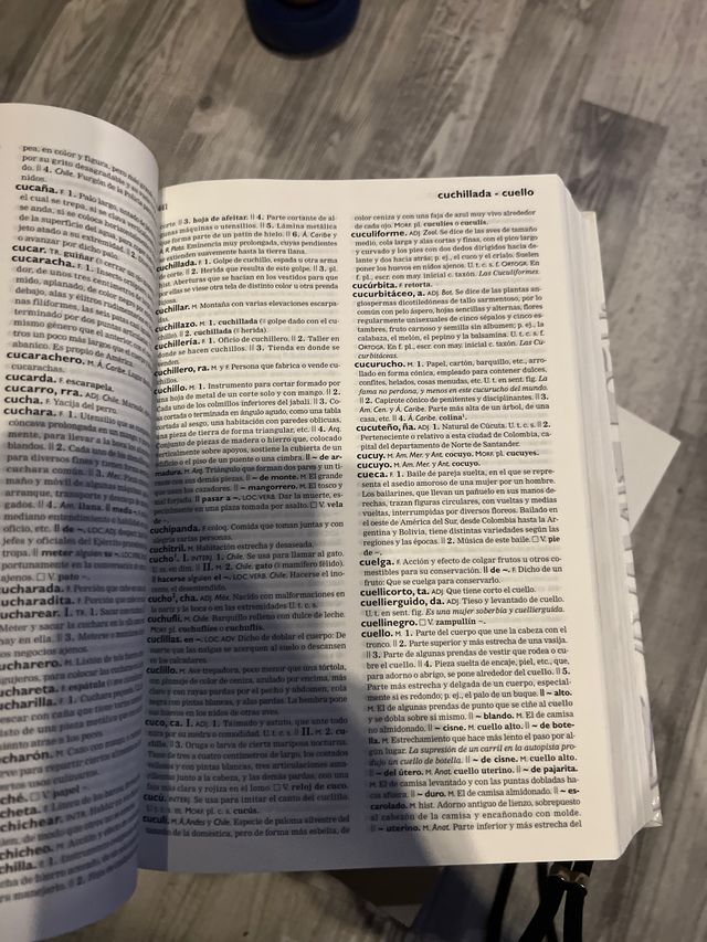 Diccionario esencial de la lengua española