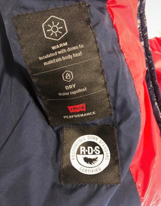 Plumifero de Levis de segunda mano por 99 EUR en Donostia-San Sebastián en  WALLAPOP
