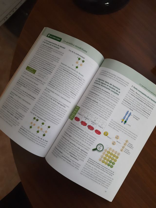 Libro para preparar biología para selectividad