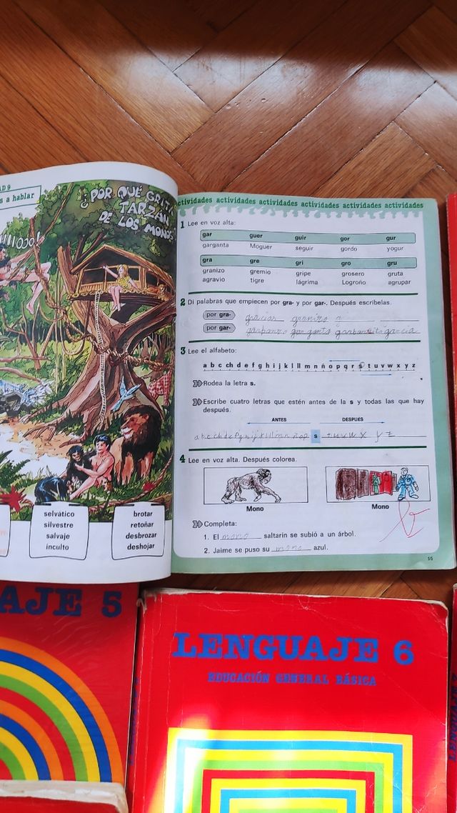 Libros lenguaje EGB, Santillana