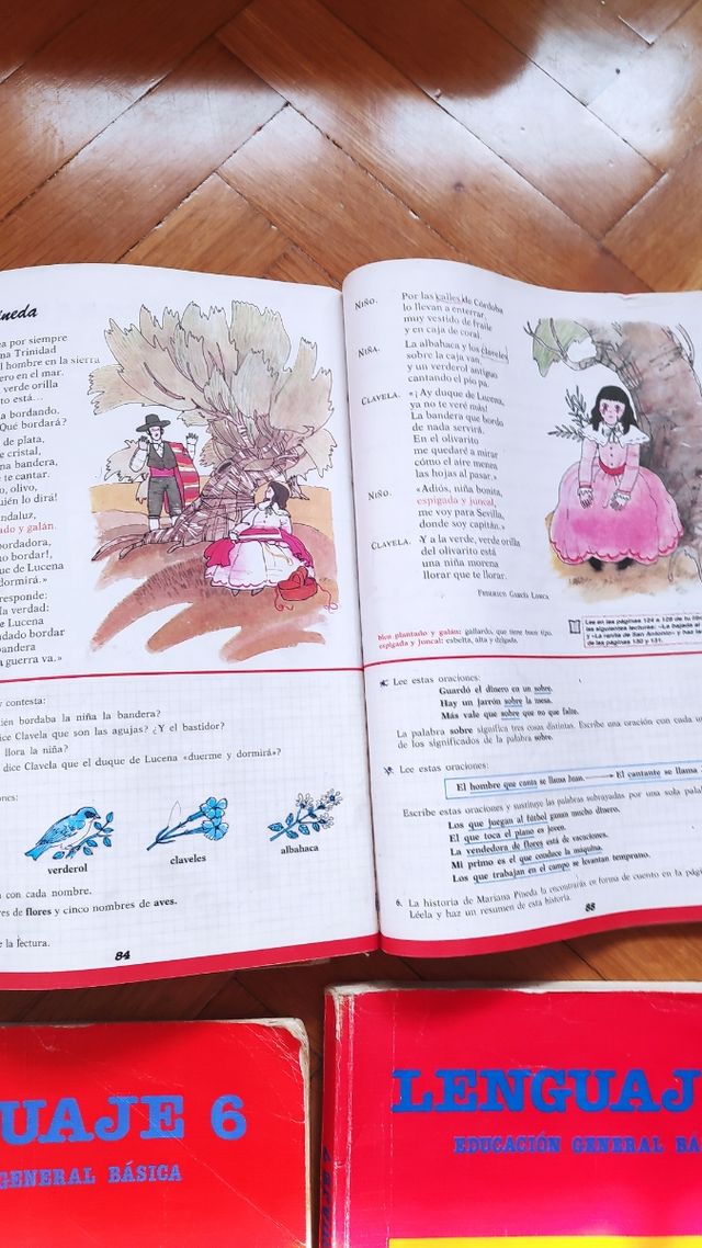 Libros lenguaje EGB, Santillana