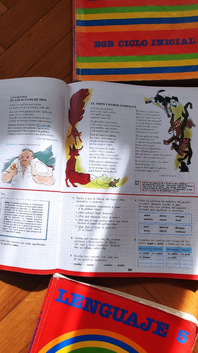 Libros lenguaje EGB, Santillana