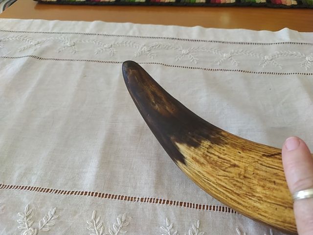 antigua colodra o liara de asta