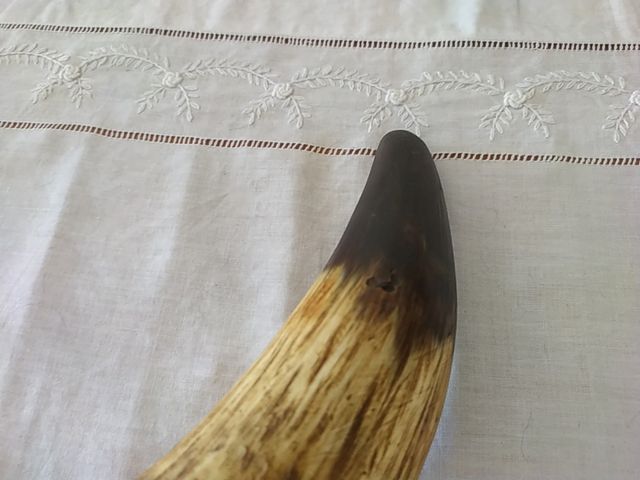 antigua colodra o liara de asta