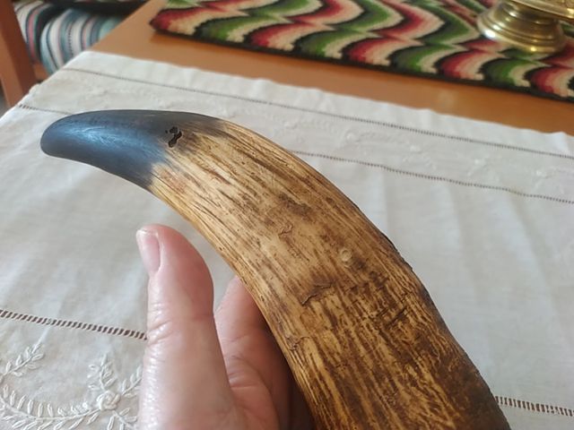 antigua colodra o liara de asta